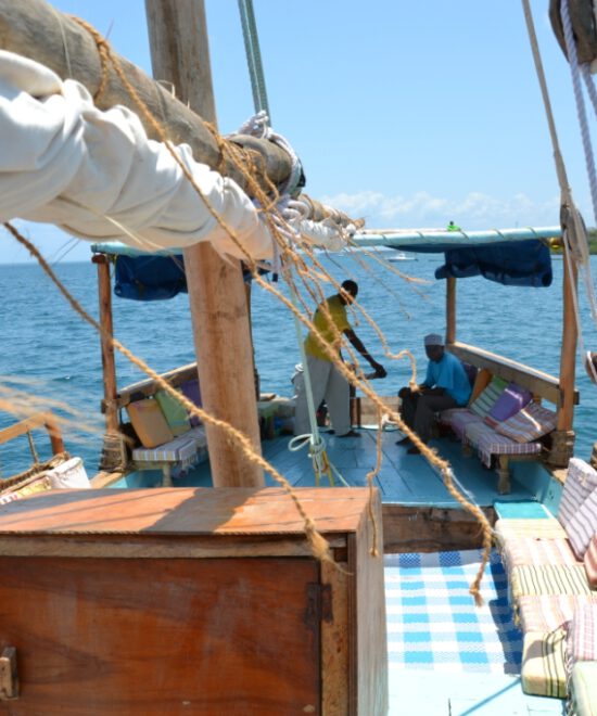 1 Day Wasini Dolphin Tour from Diani or Mombasa